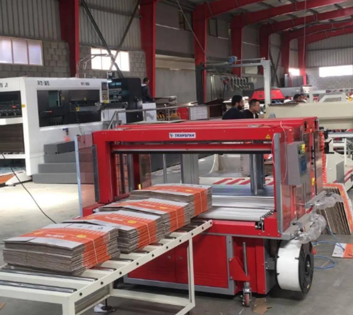 Printed flat blanks stacked on the conveyor into an automatic strapping machine.